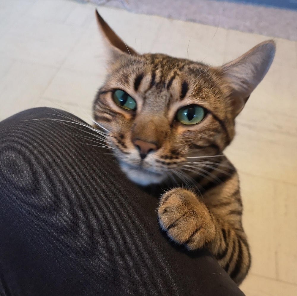 Meet your Posher, Julie